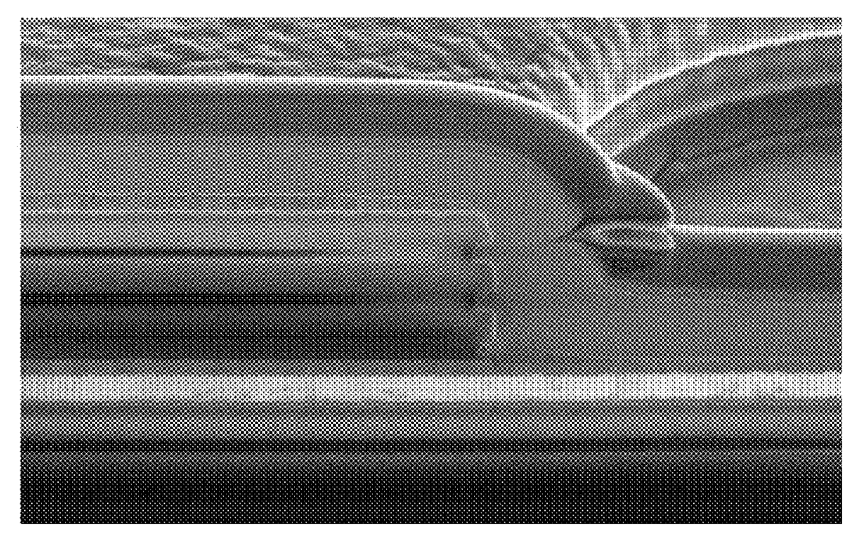 Published scanning electron micrograph of a nanocavity electrode cross-section